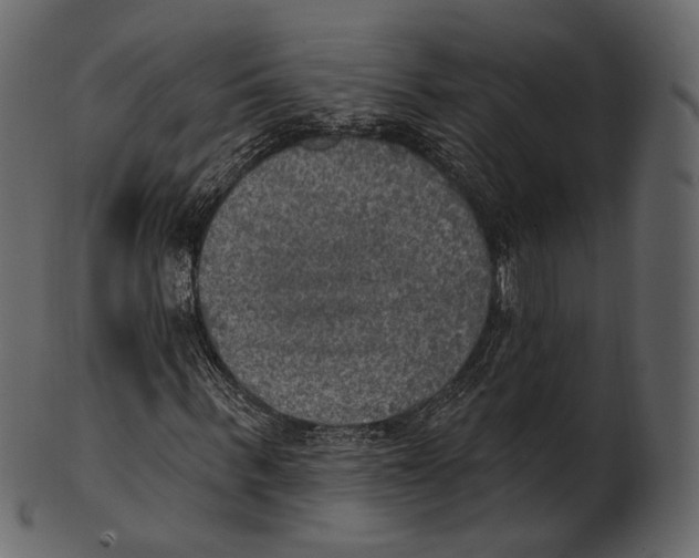 X0000100500963200807031937