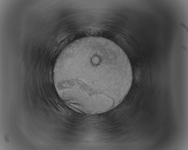 X0000100500964200807031937