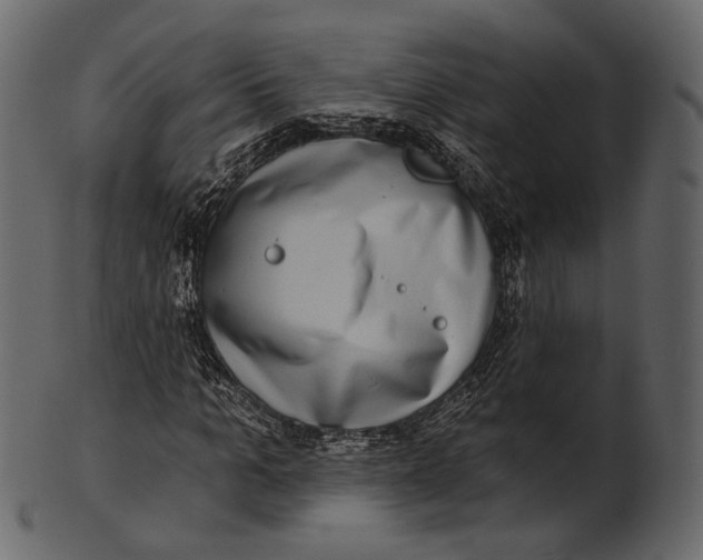 X0000100500965200807031937