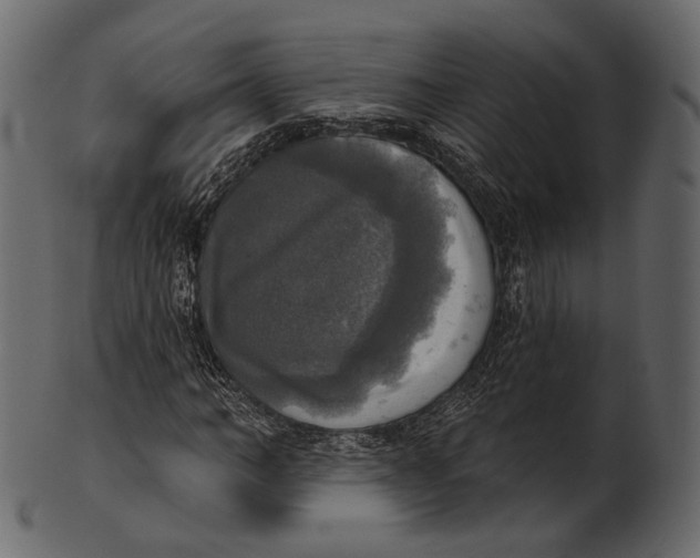 X0000100500966200807031937