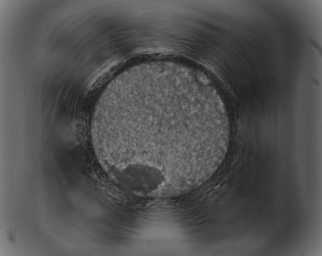 X0000100500967200807031937