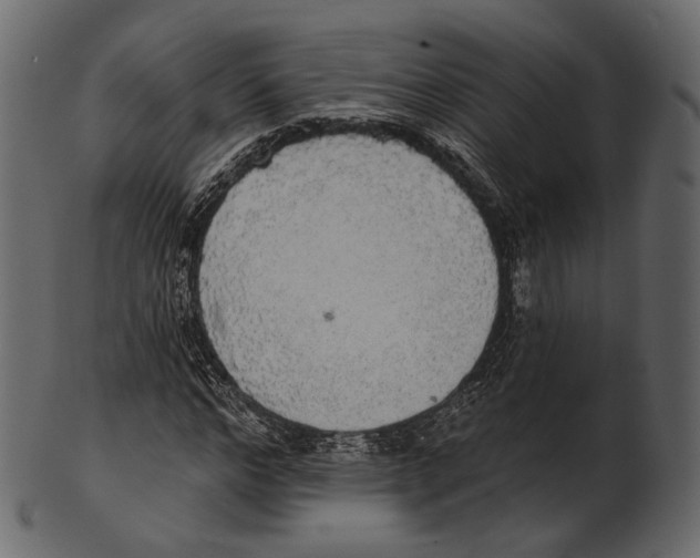 X0000100500968200807031937