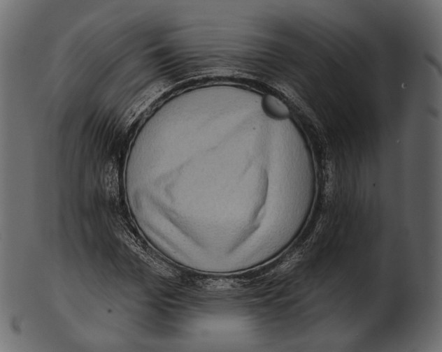 X0000100500969200807031937