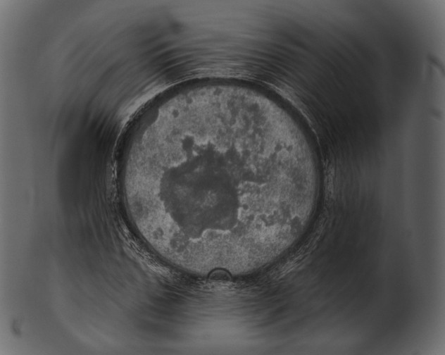 X0000100500971200807031937