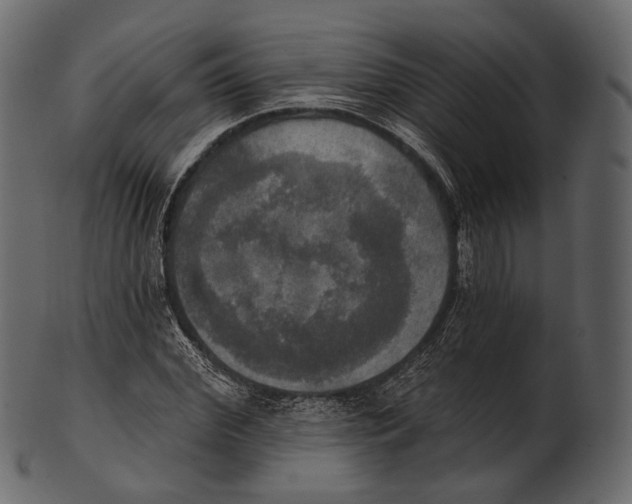 X0000100500972200807031937