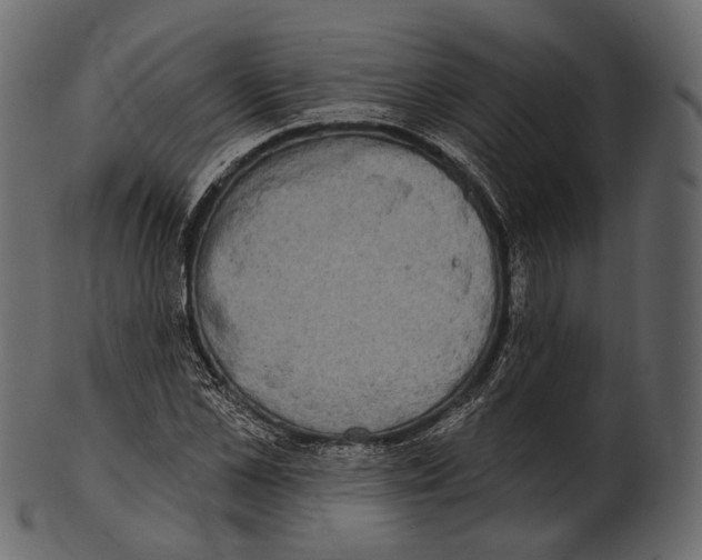 X0000100500973200807031937