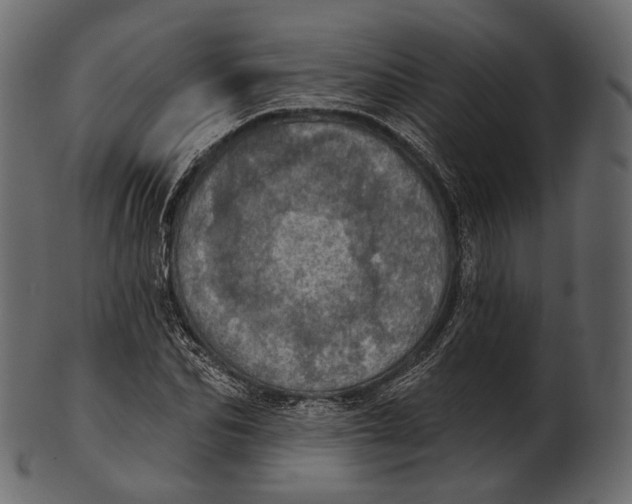 X0000100500974200807031937