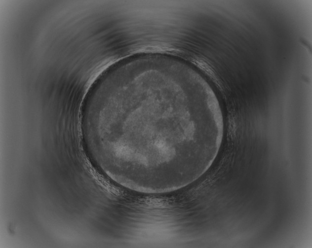 X0000100500976200807031937