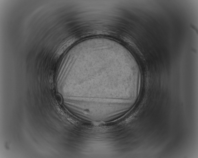 X0000100500977200807031937