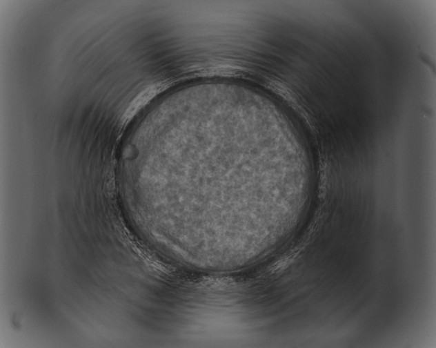 X0000100500978200807031937