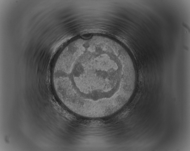 X0000100500979200807031937