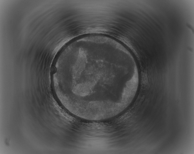 X0000100500980200807031936