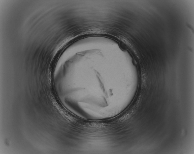 X0000100500981200807031936