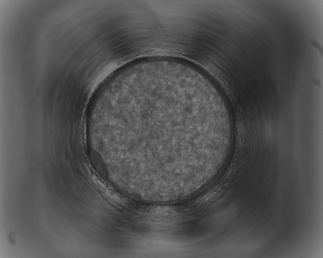 X0000100500982200807031936