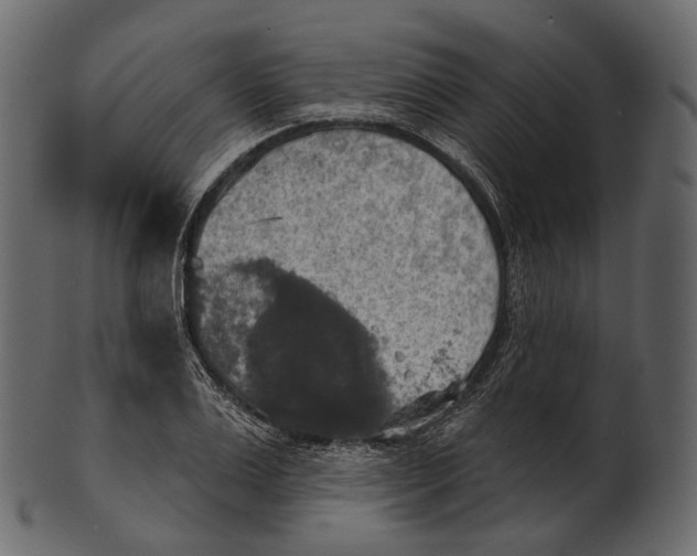 X0000100500983200807031936