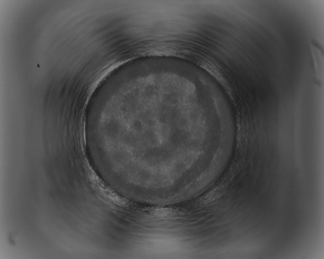 X0000100500984200807031936