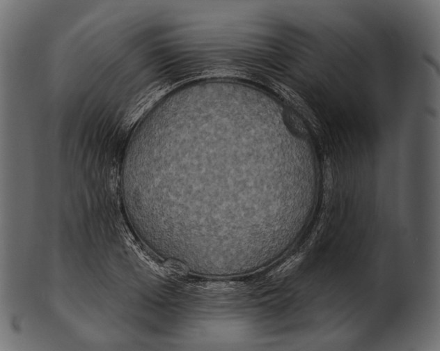 X0000100500985200807031936