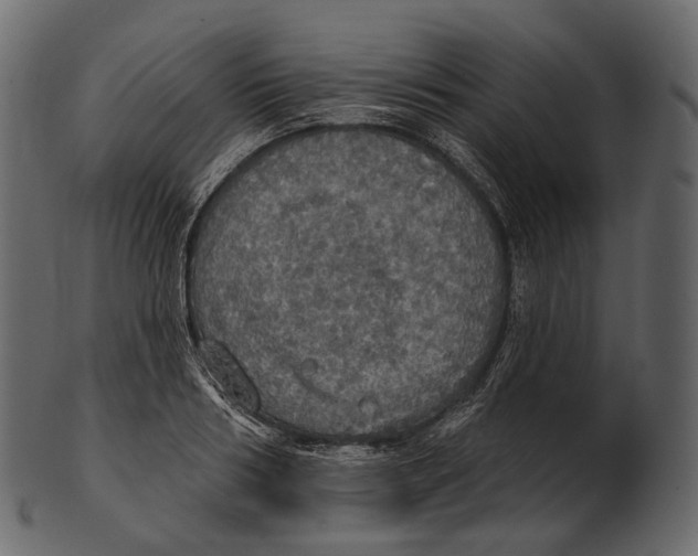 X0000100500986200807031936