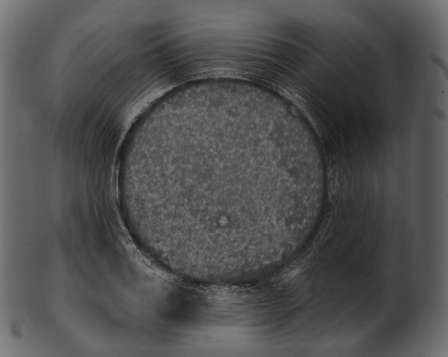 X0000100500987200807031936