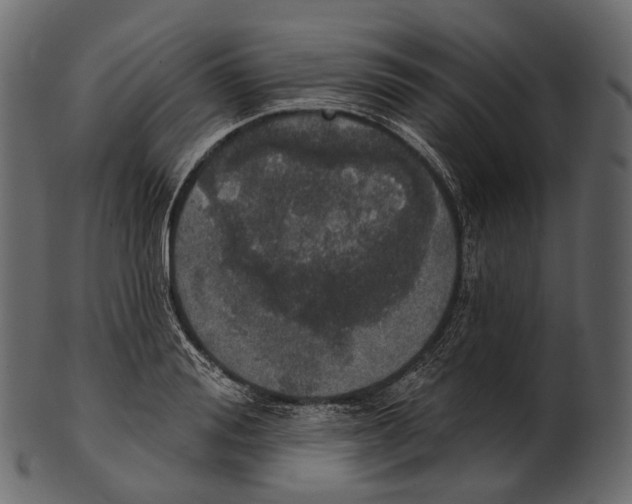 X0000100500988200807031936