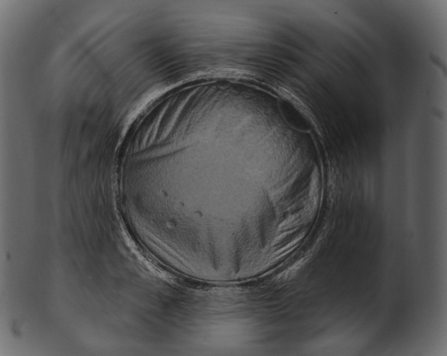 X0000100500989200807031936