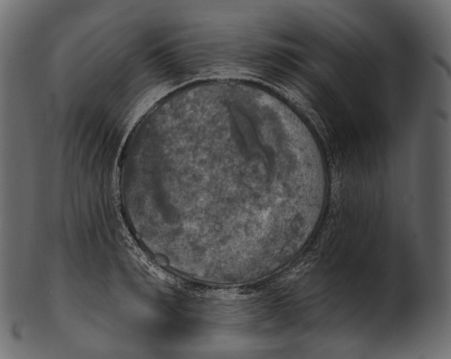 X0000100500990200807031936