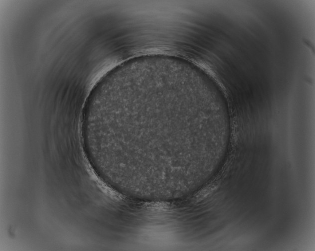 X0000100500991200807031936