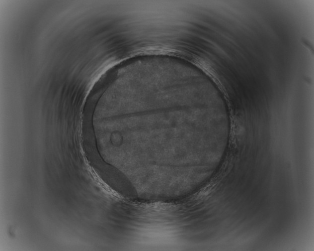 X0000100500992200807031936