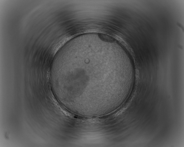 X0000100500993200807031936