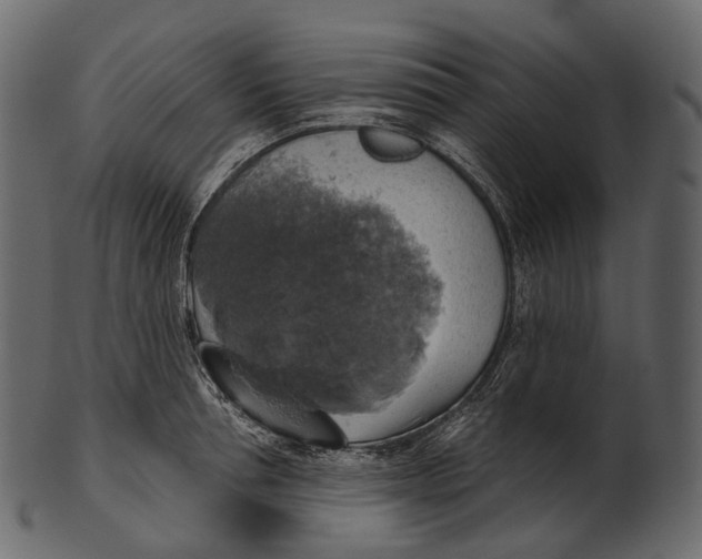 X0000100500994200807031936