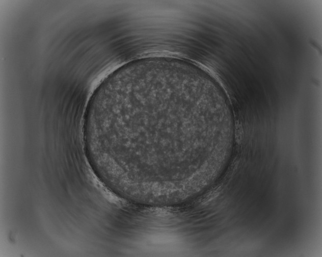 X0000100500995200807031936