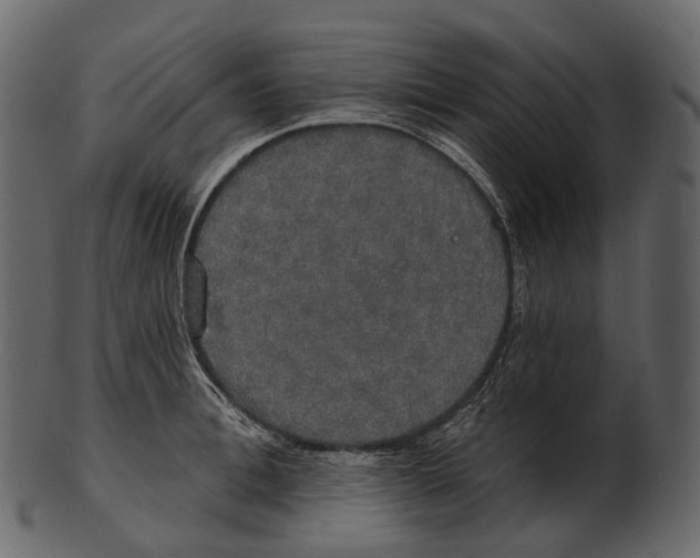 X0000100500996200807031936