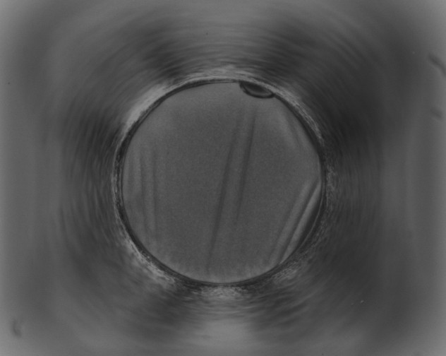 X0000100500998200807031936