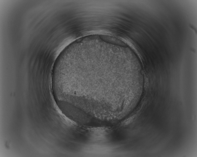 X0000100500999200807031936