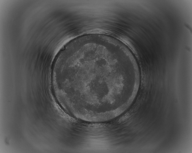 X0000100501000200807031936