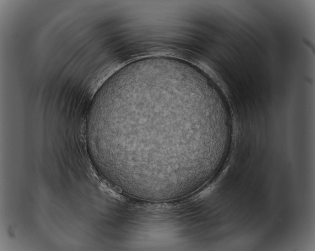 X0000100501001200807031936