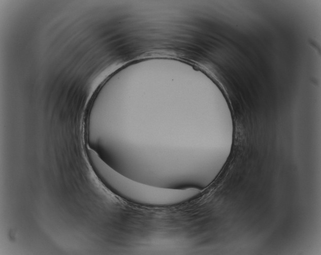 X0000100501003200807031936