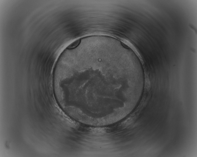 X0000100501004200807031936