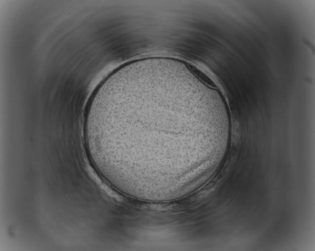 X0000100501005200807031936