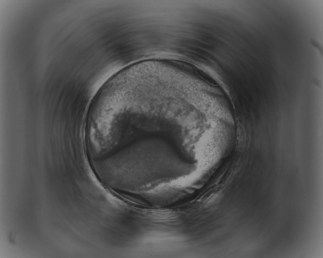 X0000100501007200807031936