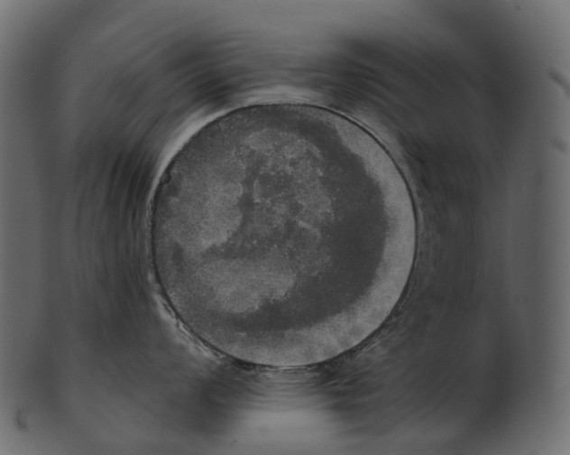 X0000100501008200807031936