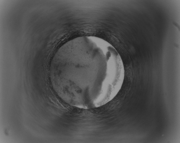 X0000100501009200807031935