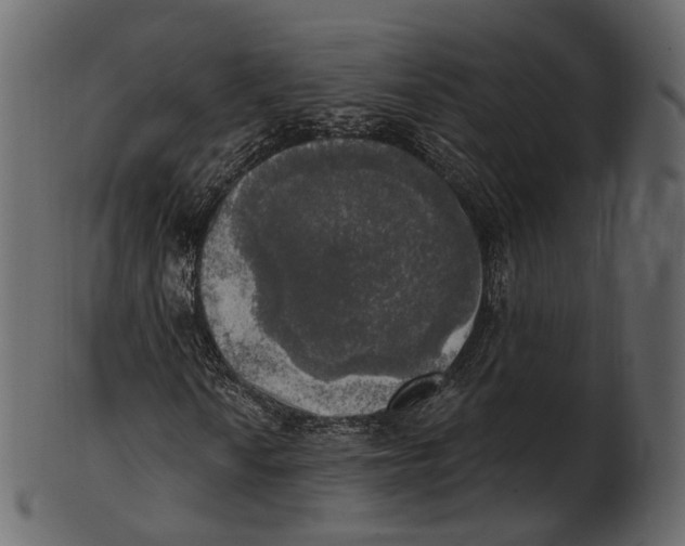 X0000100501010200807031935