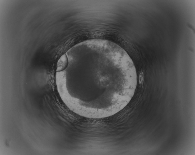 X0000100501011200807031935