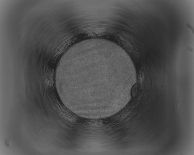 X0000100501012200807031935