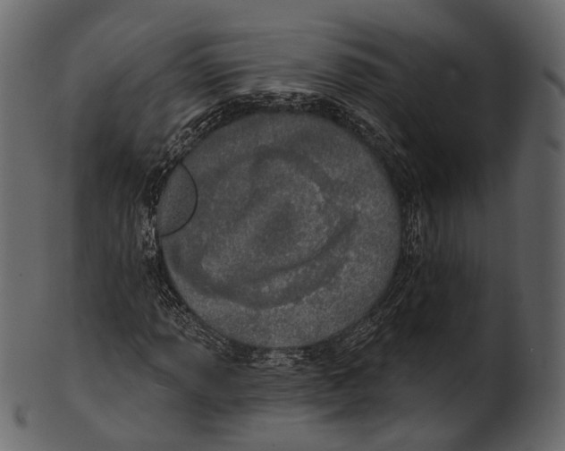 X0000100501013200807031935