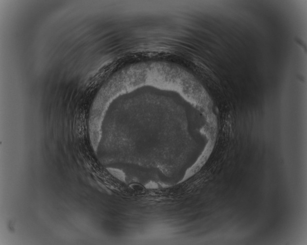 X0000100501014200807031935