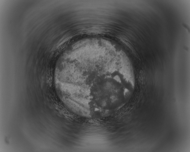 X0000100501015200807031935