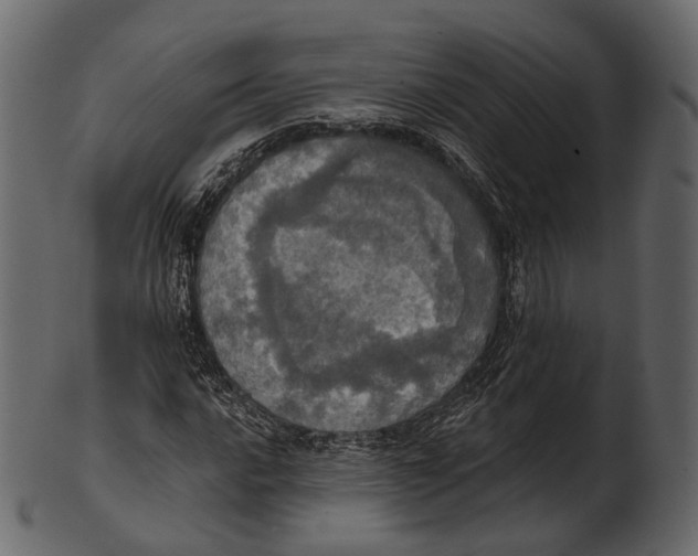 X0000100501016200807031936