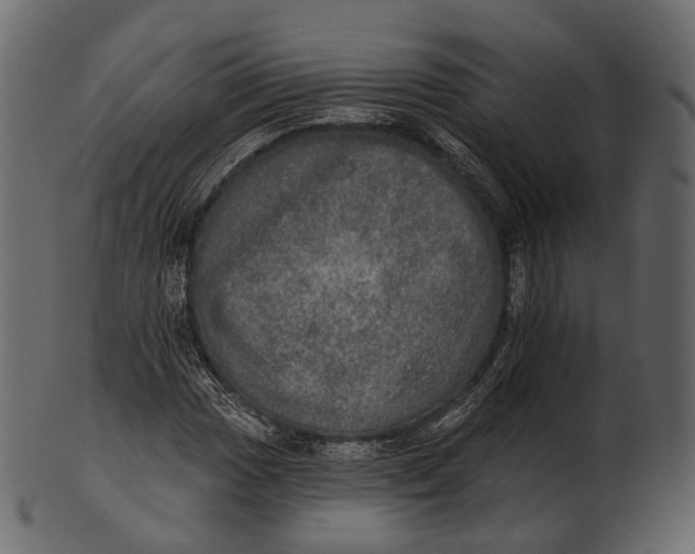 X0000100501017200807031936